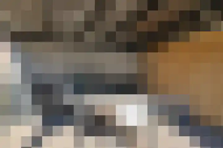De Hoven 26 Zwartemeer thumbnail 28