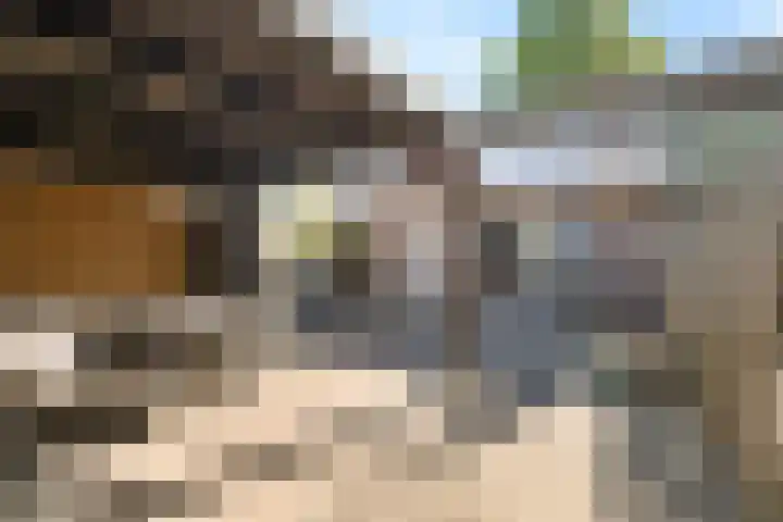 De Hoven 26 Zwartemeer thumbnail 29