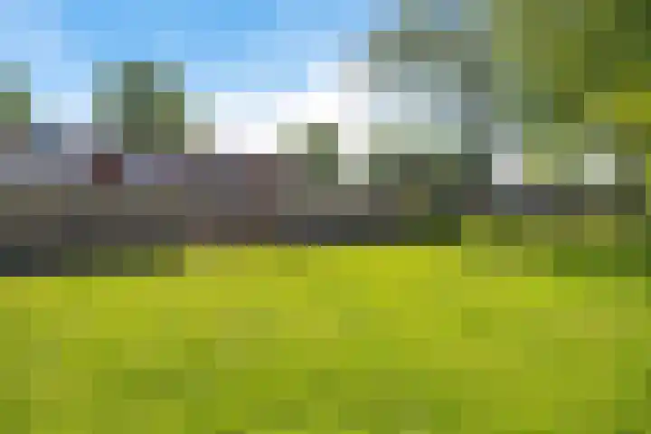 De Hoven 26 Zwartemeer thumbnail 30