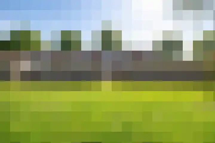 De Hoven 26 Zwartemeer thumbnail 31