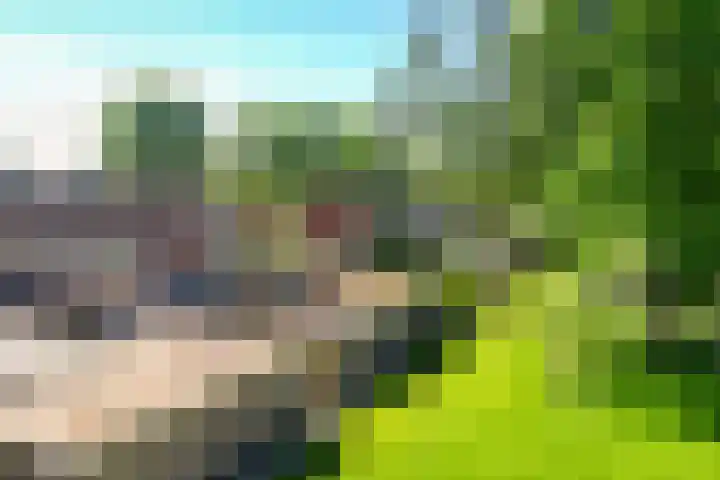 De Hoven 26 Zwartemeer thumbnail 32