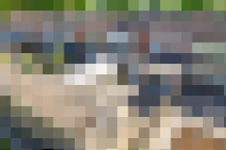 De Hoven 26 Zwartemeer thumbnail 33