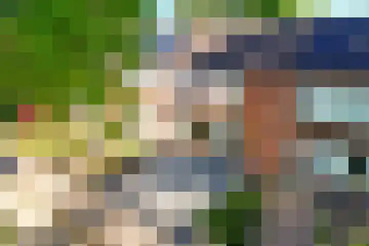 De Hoven 26 Zwartemeer thumbnail 34