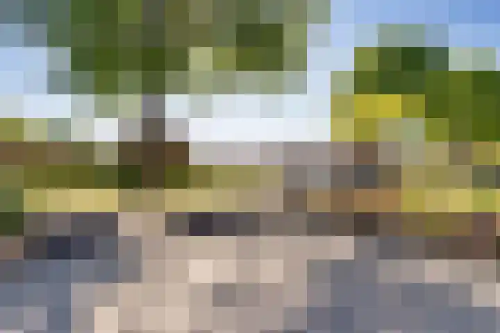 De Hoven 26 Zwartemeer thumbnail 36