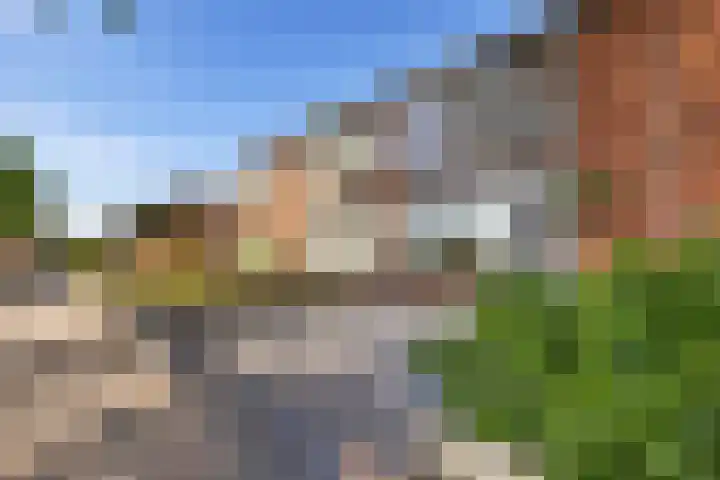 De Hoven 26 Zwartemeer thumbnail 37