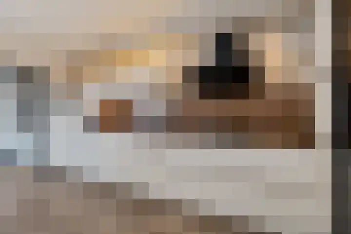 De Hoven 26 Zwartemeer thumbnail 5