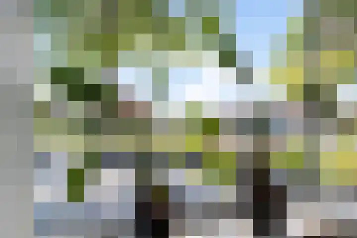 De Hoven 26 Zwartemeer thumbnail 7