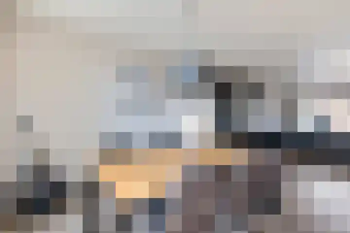 De Hoven 26 Zwartemeer thumbnail 8
