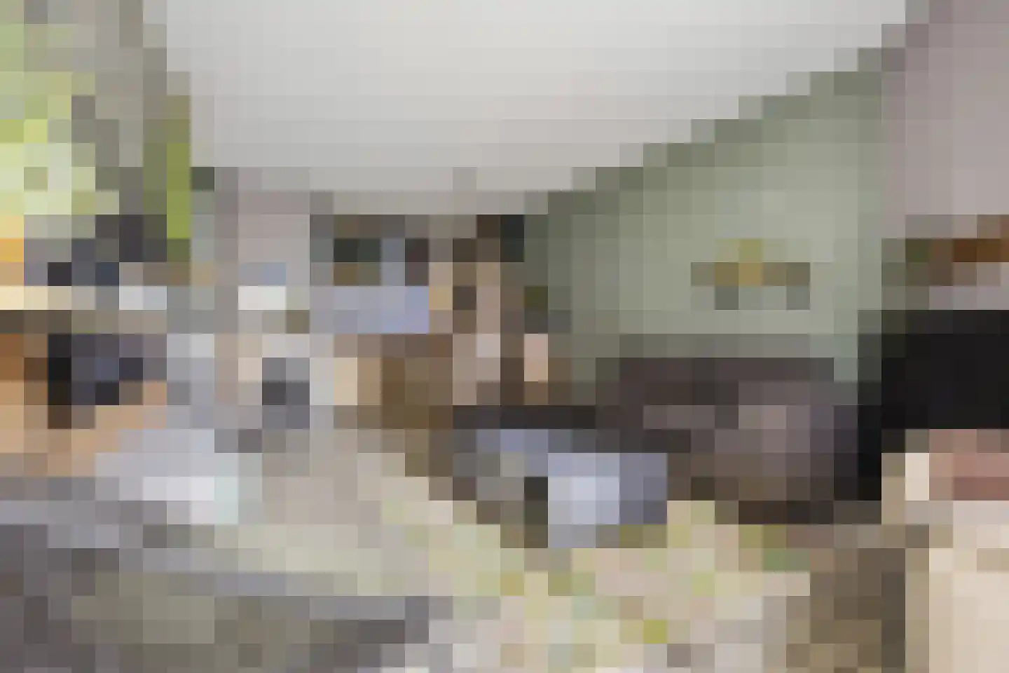 De Hoven 3 Barneveld thumbnail 6