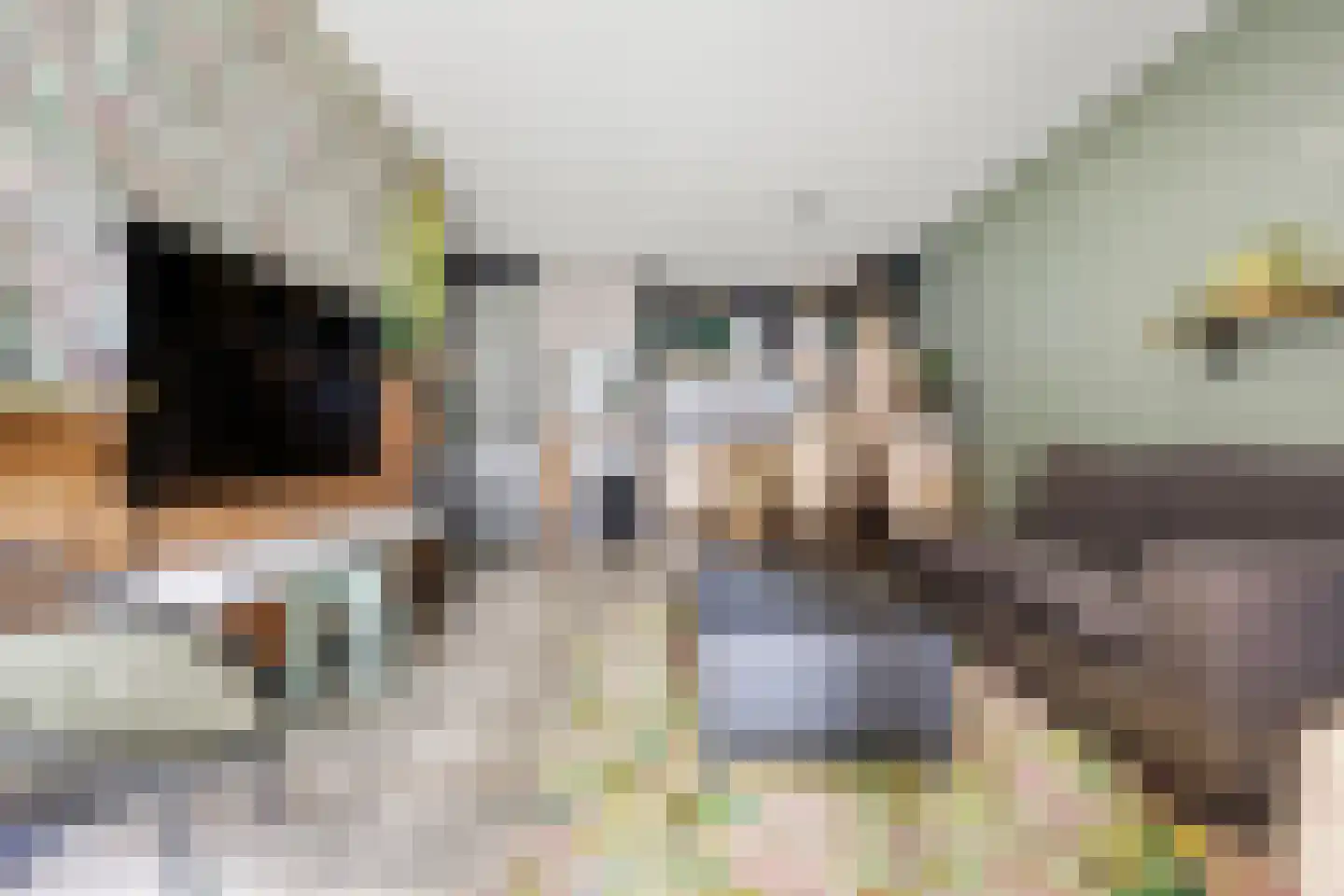 De Hoven 3 Barneveld thumbnail 8