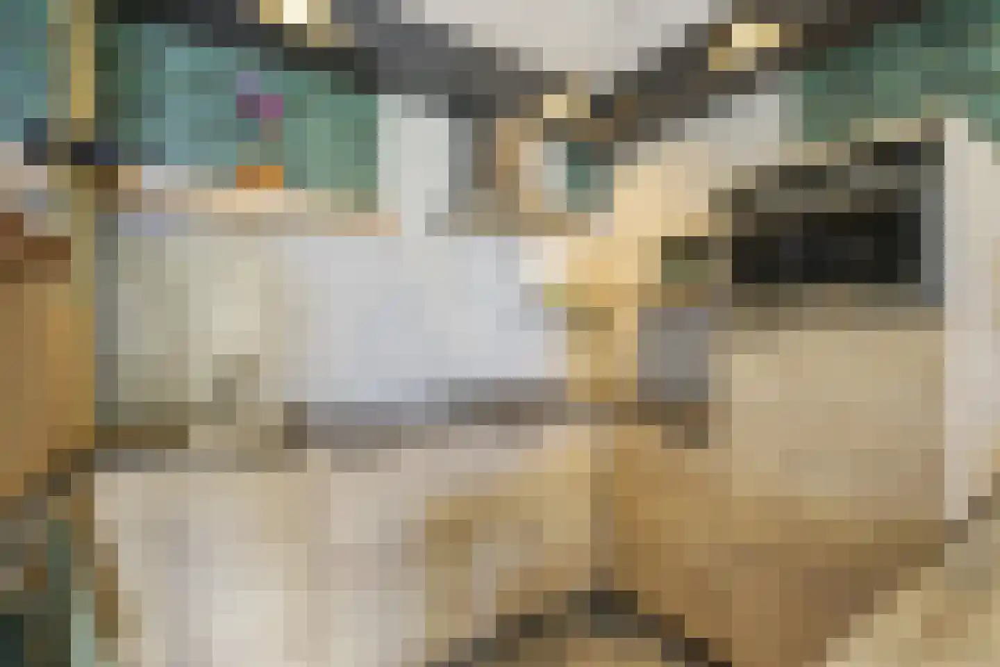 De Hoven 3 Barneveld thumbnail 9