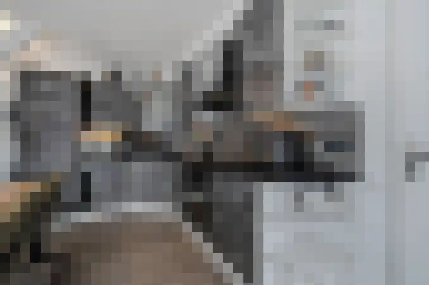 De Hoven 39 Zwartemeer thumbnail 6