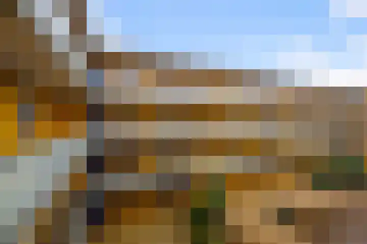 De Hoven 44 Heemskerk thumbnail 29