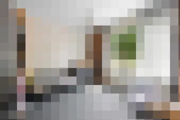 De Hoven 46 Zwartemeer thumbnail 20