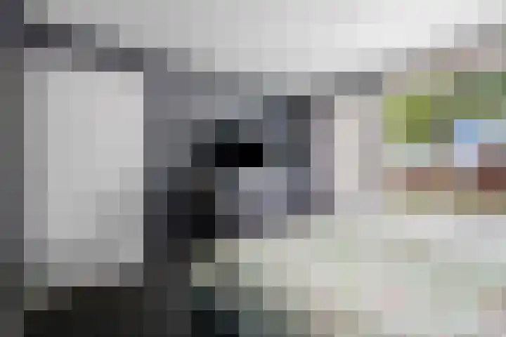 De Hoven 46 Zwartemeer thumbnail 23