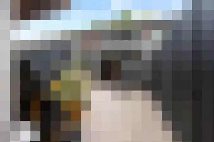 De Hoven 46 Zwartemeer thumbnail 32