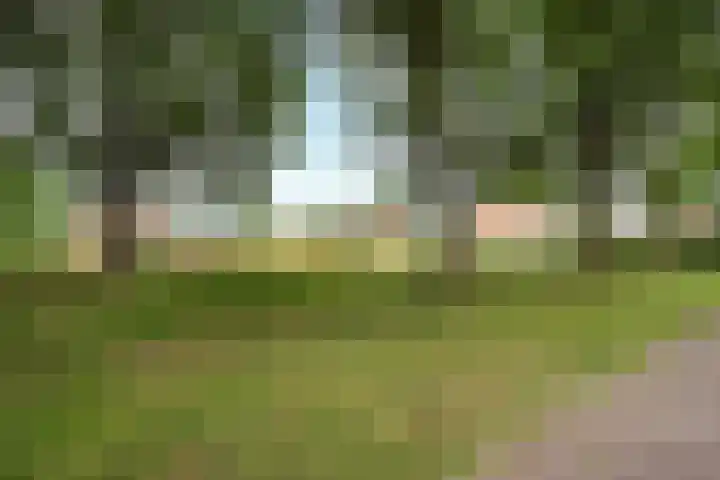 De Hoven 46 Zwartemeer thumbnail 36
