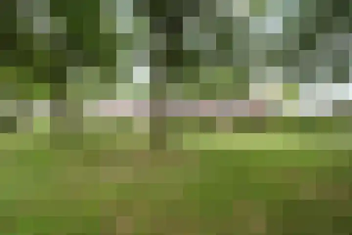 De Hoven 46 Zwartemeer thumbnail 37