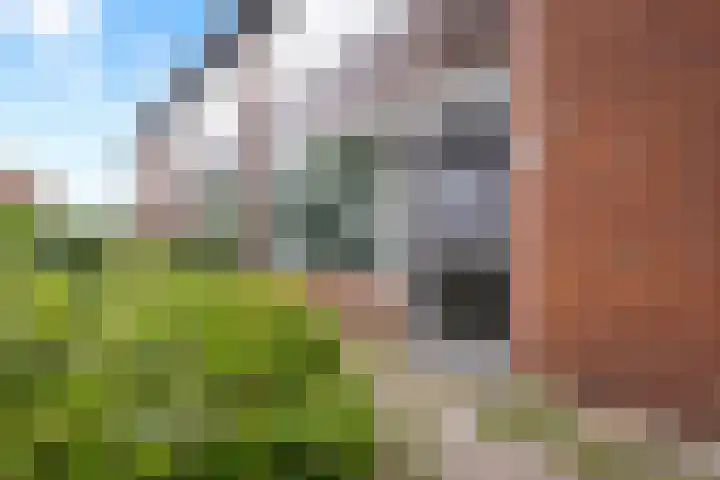 De Hoven 46 Zwartemeer thumbnail 40