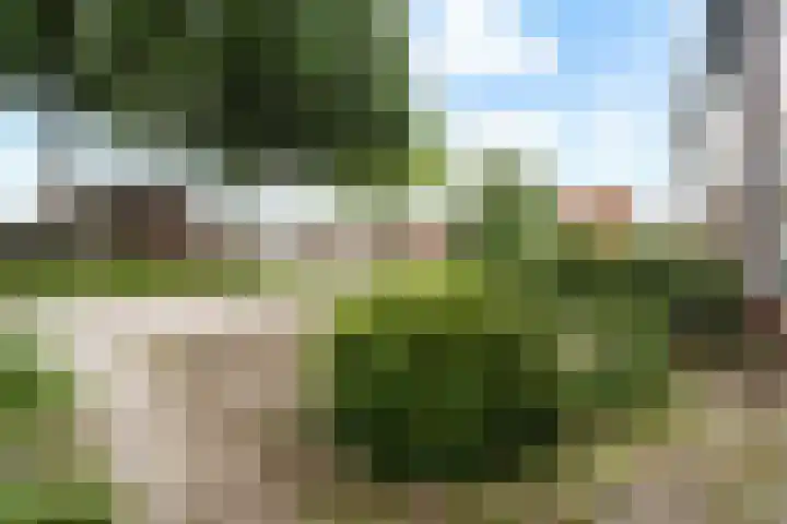 De Hoven 46 Zwartemeer thumbnail 41
