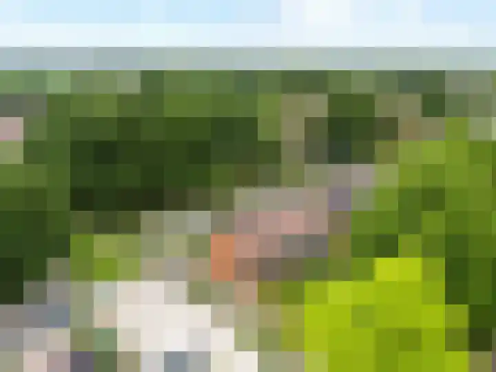 De Hoven 46 Zwartemeer thumbnail 42