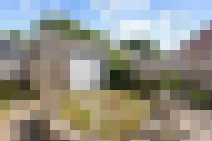 De Hoven 47 Zwartemeer thumbnail 30