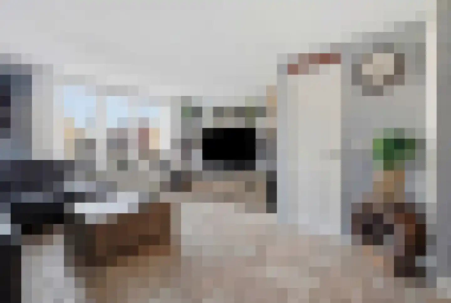 De Hoven 59 Zwartemeer thumbnail 12