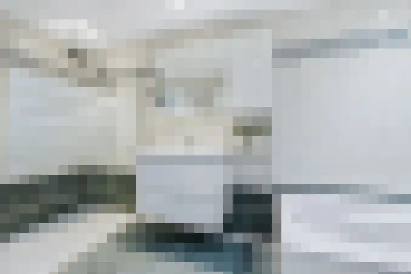 De Hoven 59 Zwartemeer thumbnail 18
