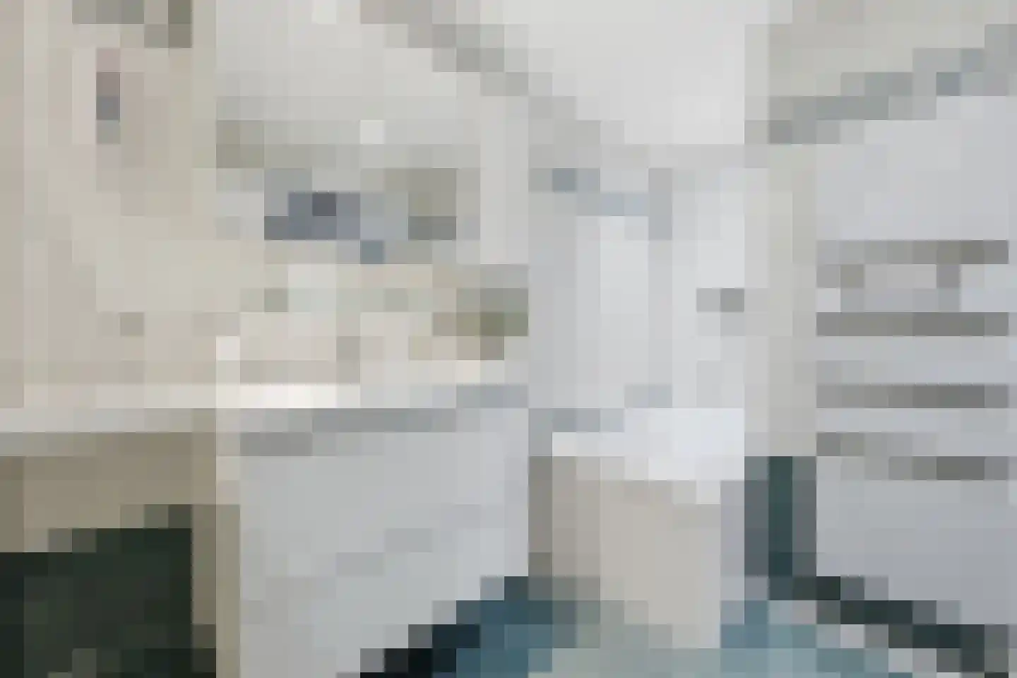De Hoven 59 Zwartemeer thumbnail 20