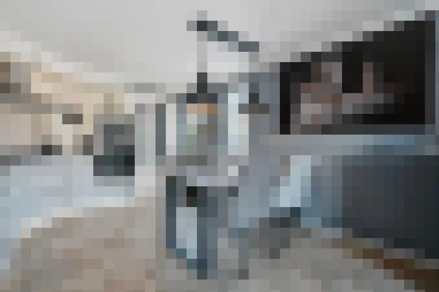 De Hoven 59 Zwartemeer thumbnail 6