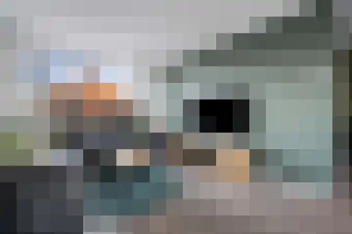 De Hoven 72 Zwartemeer thumbnail 10