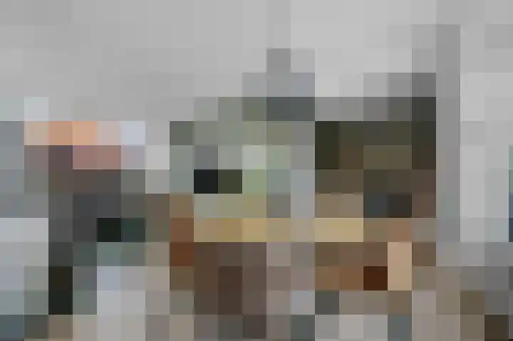De Hoven 72 Zwartemeer thumbnail 14