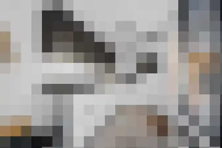 De Hoven 72 Zwartemeer thumbnail 17