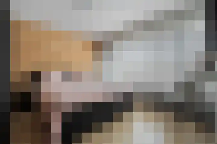 De Hoven 72 Zwartemeer thumbnail 22