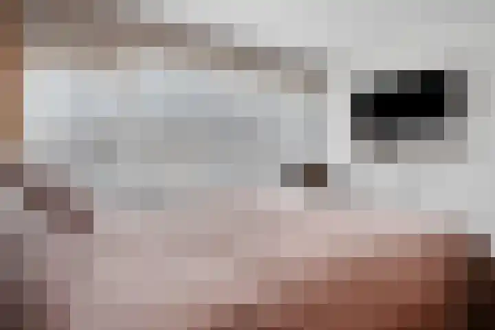 De Hoven 72 Zwartemeer thumbnail 23