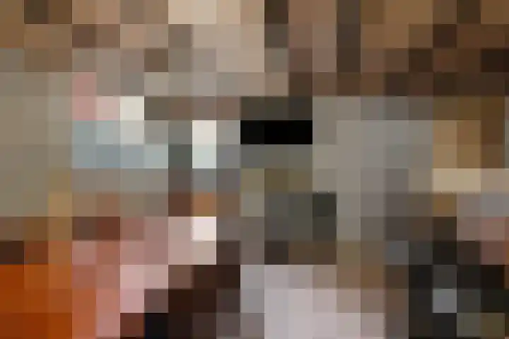 De Hoven 72 Zwartemeer thumbnail 35