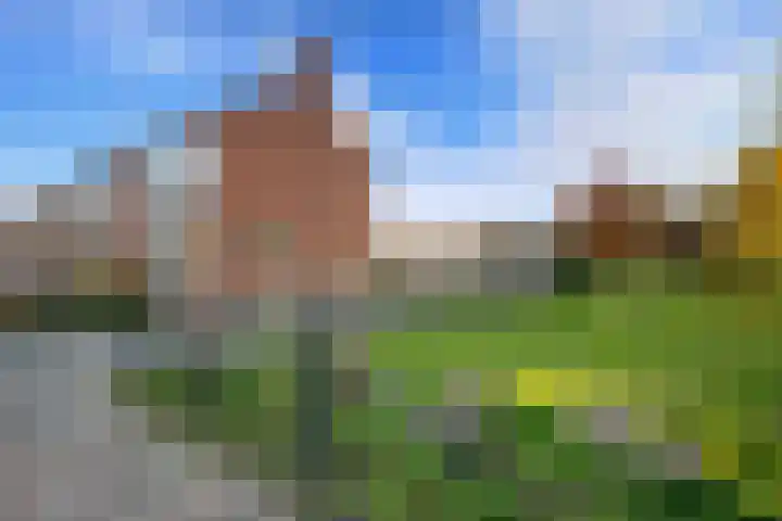 De Hoven 72 Zwartemeer thumbnail 39