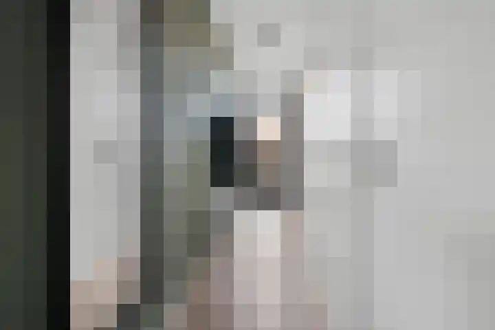 De Hoven 72 Zwartemeer thumbnail 4