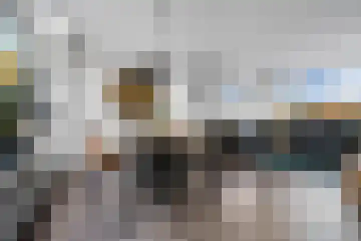 De Hoven 72 Zwartemeer thumbnail 7