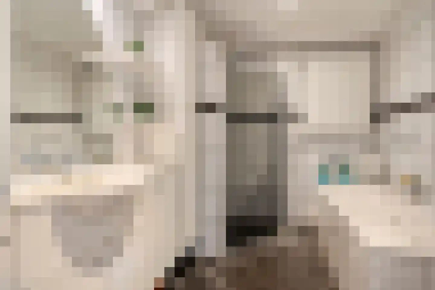 De Hoven 75 Zwartemeer thumbnail 12