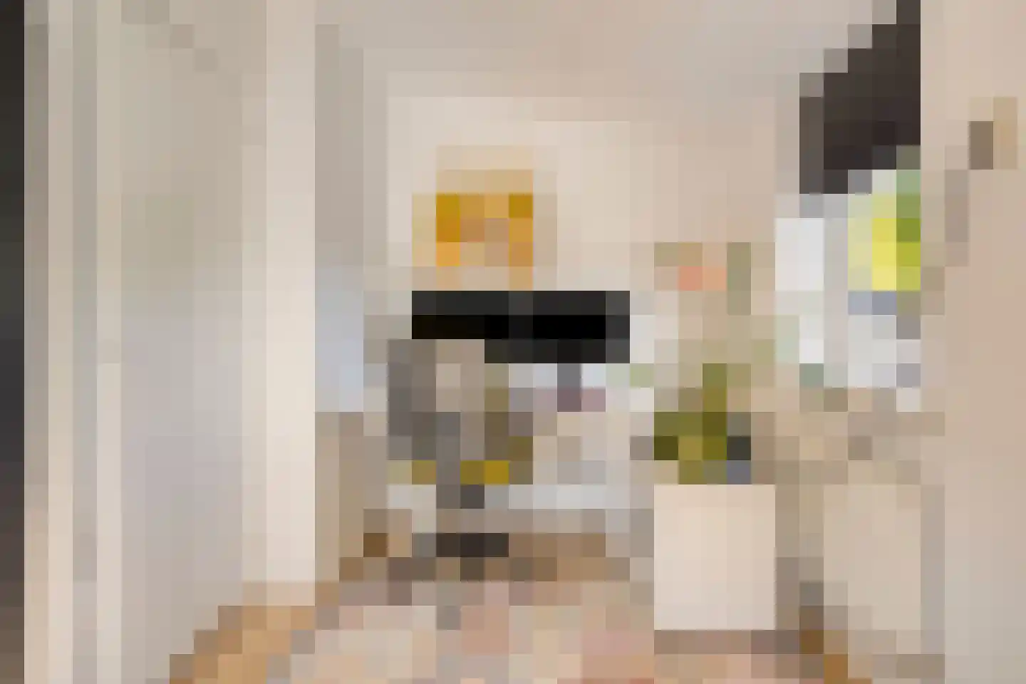 De Hoven 75 Zwartemeer thumbnail 17