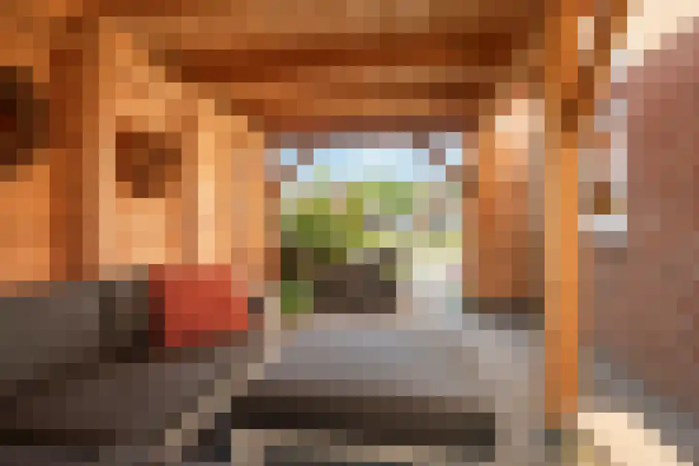 De Hoven 75 Zwartemeer thumbnail 20