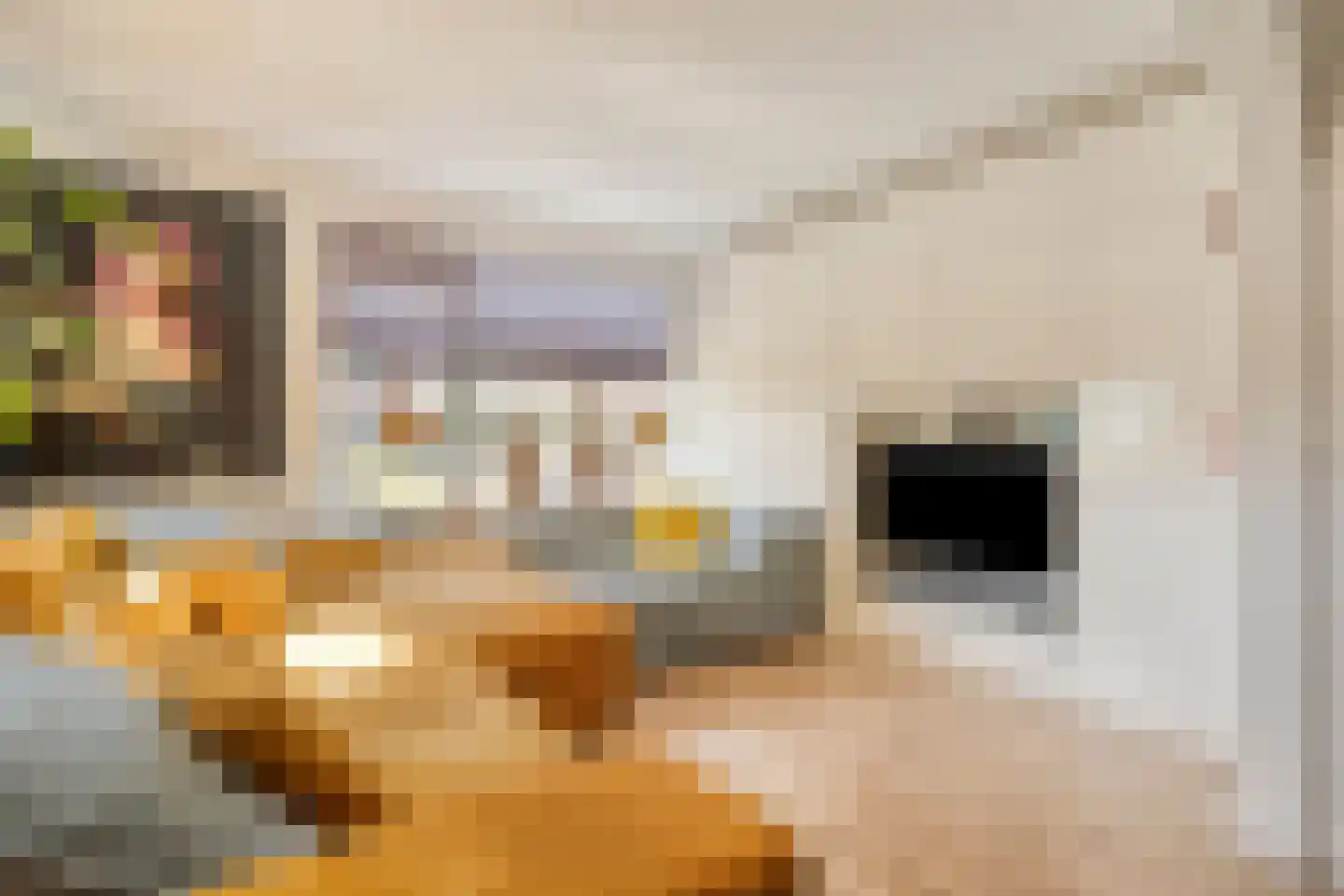De Hoven 75 Zwartemeer thumbnail 4