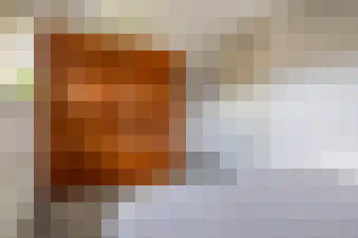 De Hoven 79 Heemskerk thumbnail 14