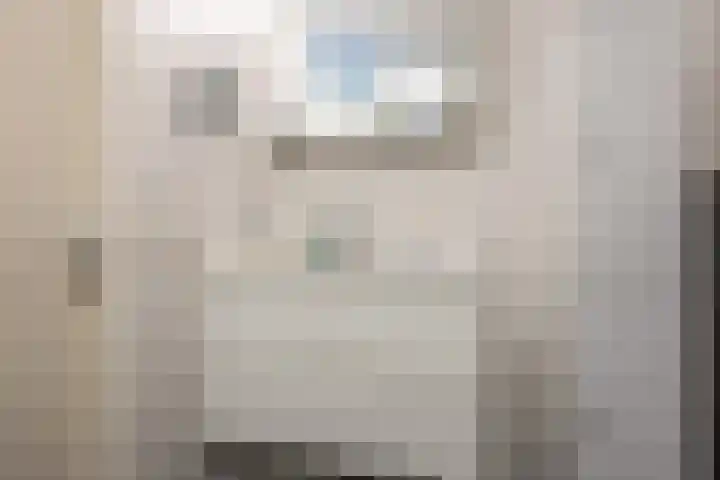 De Hoven 79 Heemskerk thumbnail 18