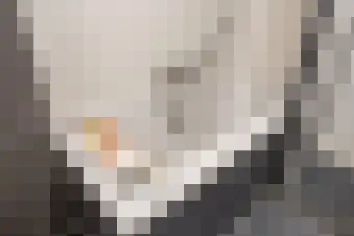 De Hoven 79 Heemskerk thumbnail 20