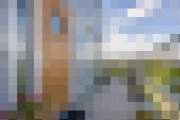De Hoven 79 Heemskerk thumbnail 29