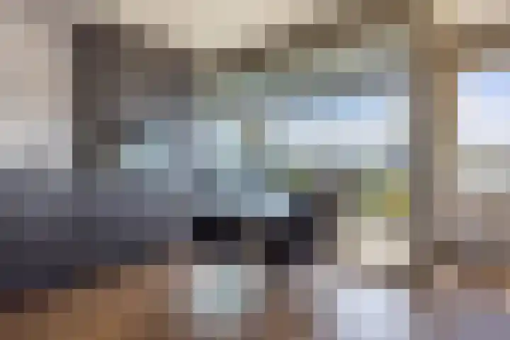 De Hoven 79 Heemskerk thumbnail 7