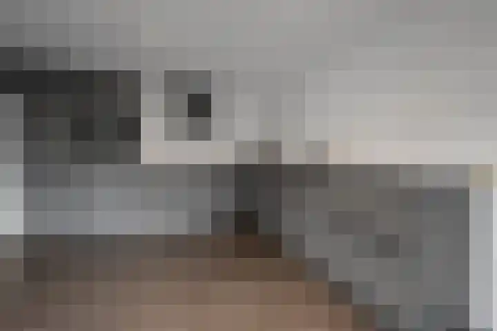 De Hoven 83 Zwartemeer thumbnail 12