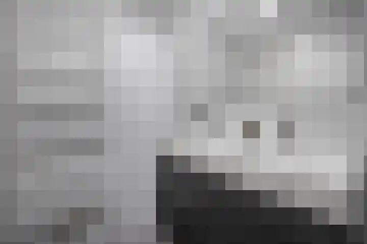 De Hoven 83 Zwartemeer thumbnail 15